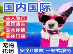 贵阳机场空运国际宠物托运 【国